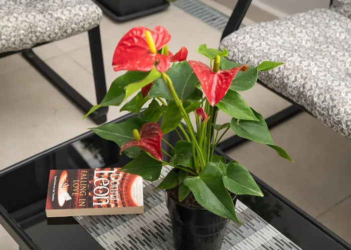 2 Bd Downtown With Private Parking 400 Meters Walk To The * Ханья